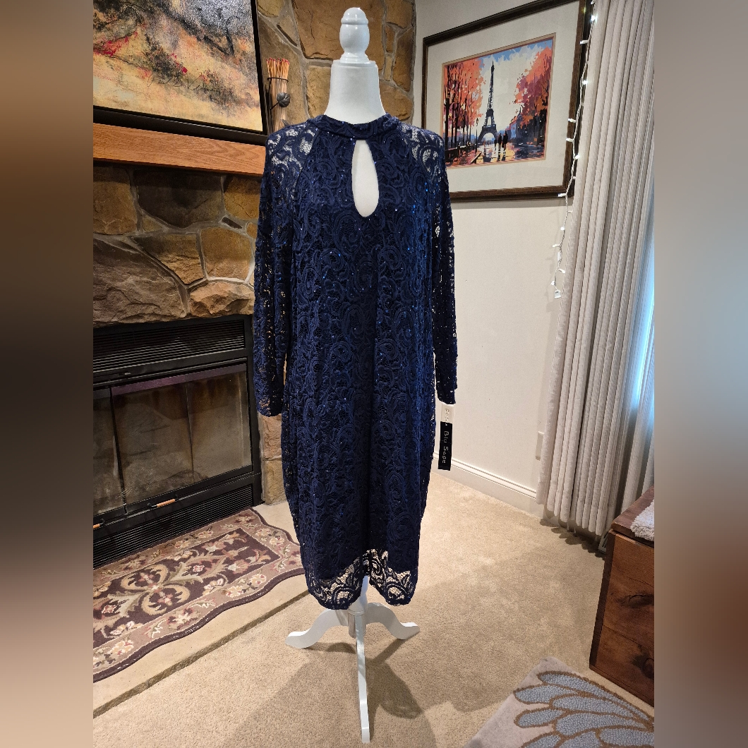 Nwt Blu Sage Womens Cocktail Or Prom Dress Size 22w, Retail $109